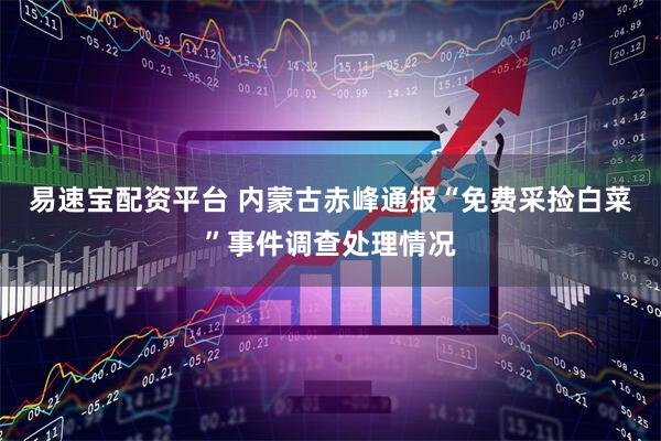 易速宝配资平台 内蒙古赤峰通报“免费采捡白菜”事件调查处理情况