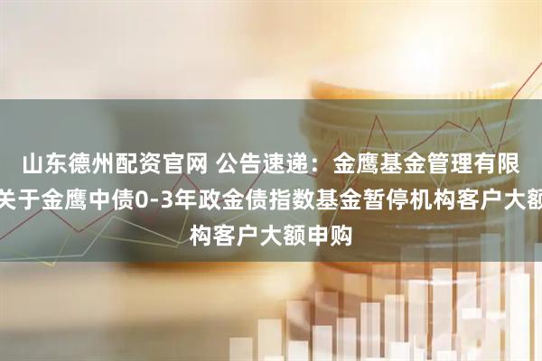 山东德州配资官网 公告速递：金鹰基金管理有限公司关于金鹰中债0-3年政金债指数基金暂停机构客户大额申购